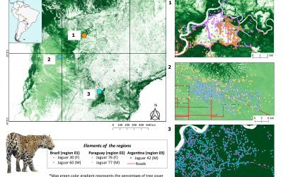 Jaguars in the Anthropocene: Navigating a Landscape of Coexistence