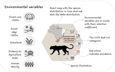 Habitat selection of Brazilian cats: trends and gaps